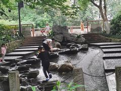 -成都市活水公园