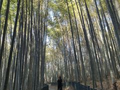 -杭州植物园