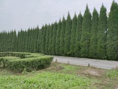 -汉景帝阳陵博物院