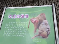 -广东茂名森林公园