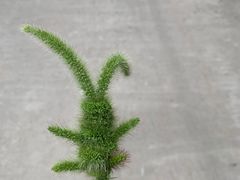 -金隅凤山酒店