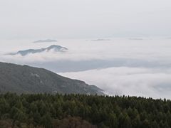 -白草畔自然风景区