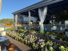 -野菌皇海景野生菌火锅(滨海大道店)
