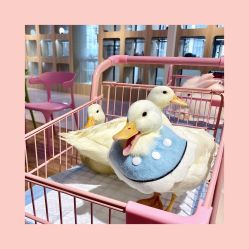 -Moni星球萌宠·小马宝莉·灵蛇·高端高阶全萌宠互动体验俱乐部(红豆国际广场店)