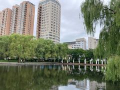 -青城公园