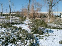 -南京中医药大学(仙林校区)