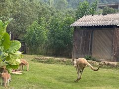 -泉州海丝野生动物世界