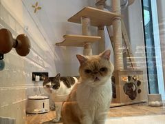 -黑胶星球(华发中城商都店)