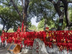 -大槐树寻根祭祖园