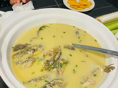 -三强鸽子(中原路店)