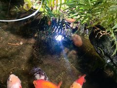 -佛有缘素食馆·荔湾老字号(陈家祠首店)