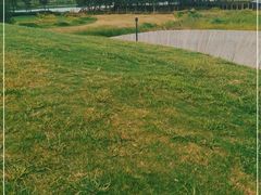 -春花秋色城市公园