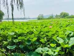 -云龙湖旅游景区