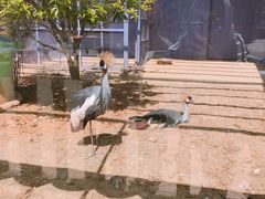 -无锡动物园·太湖欢乐园