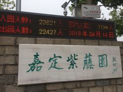 -嘉定紫藤园