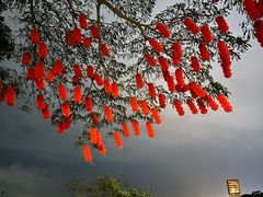 -深圳湾公园(南山区)