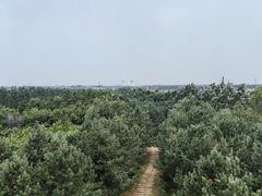 -绥化市森林植物园