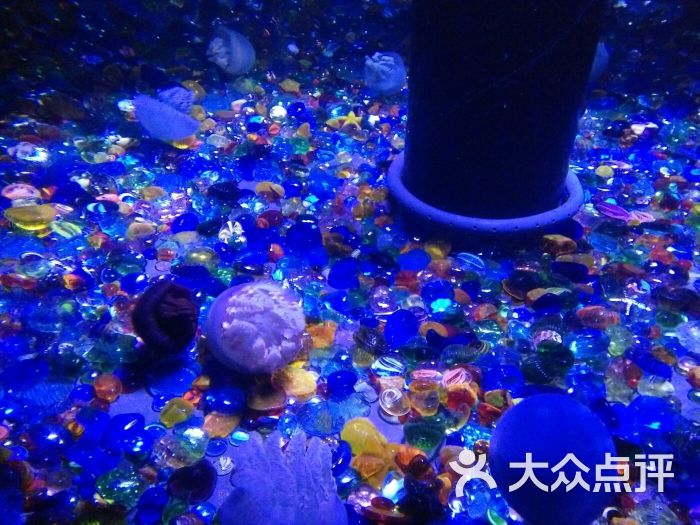 海濱城浩海立方海洋館圖片 - 第12張