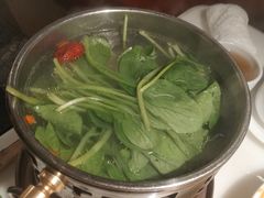 水煮鸡毛菜-初蓉丨遇见新川菜(亲贤街荣耀店)