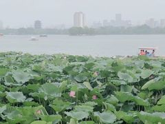 -济南大明湖景区