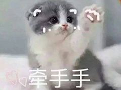 -半坡九号老挝冰咖啡