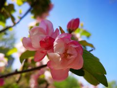 -海棠花溪(元大都城垣遗址公园)