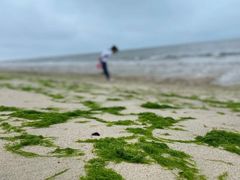 -那香海钻石沙滩浴场