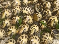 -北塘海鲜·天津菜(大光明桥旗舰店)