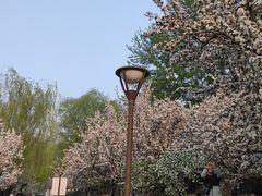 -海棠花溪(元大都城垣遗址公园)