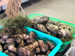 -双喜农庄·菌香园(安居家园店)