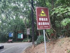 -紫金山山顶公园