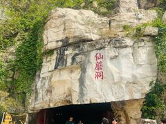 -仙蘑洞