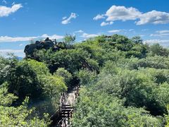 -大岭沟猕猴桃谷风景区