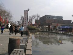 -茯茶镇