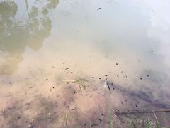 -三圣花乡旅游区