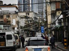 -溪岸路花鸟市场