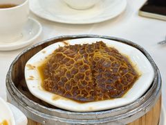 妙香沙嗲金钱肚-凤凰楼酒家·粤宴点心(华强北店)