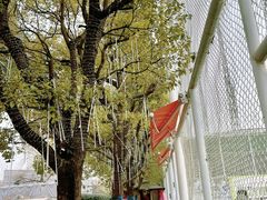 -飞梦少儿足球培训(塘桥校区)