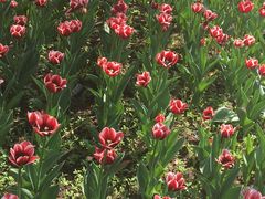 -长春公园(普阳街道)