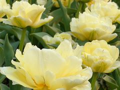 -玄武湖景区-情侣园游乐场