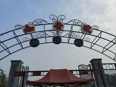 -武汉知音号