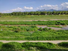 -洨河生态公园
