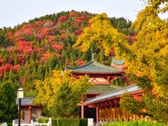 -龙口南山旅游景区