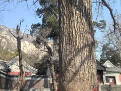 -龙泉寺