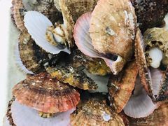 -87号烧烤海鲜·大排档(金沙滩店)