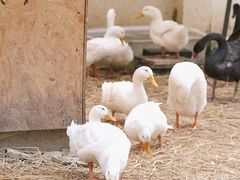 -HERRE·FARM 赫尔露营农场·团建聚会包场