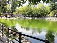 -莲湖公园