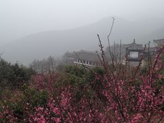 -达蓬山旅游度假区