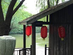 -溱湖国家湿地公园