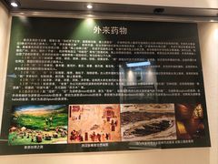 -广东中医药博物馆